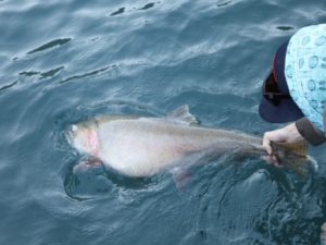 Pyramid Lake Fishing Season Opener