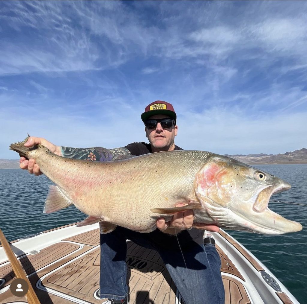 Pyramid Lake Fishing Guides - Lahontan Cutthroat Trout 20 lbs