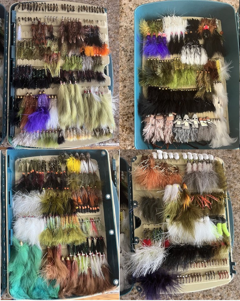 Flies Box 2