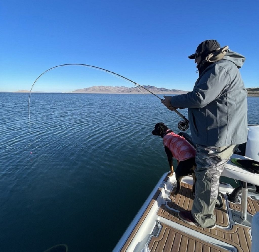 Pyramid Lake Fly Fishing Guides - Fish On