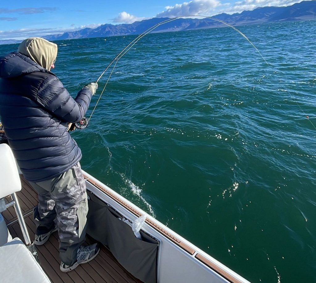 Fly fishing Pyramid Lake - Fish On March 2024 Lacey's Guide Service