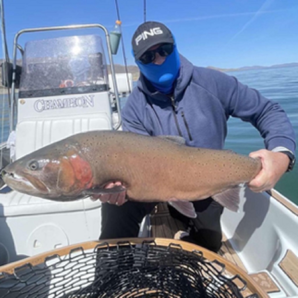 Lahontan Cutthroat Trout Fly Fishing Pyramid Lake April 2022