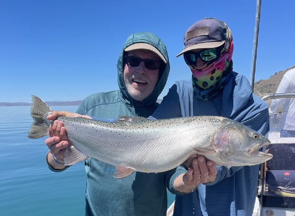 Fly Fishing Pyramid Lake Lahontan Cutthroat Trout 15 lbs May 2024