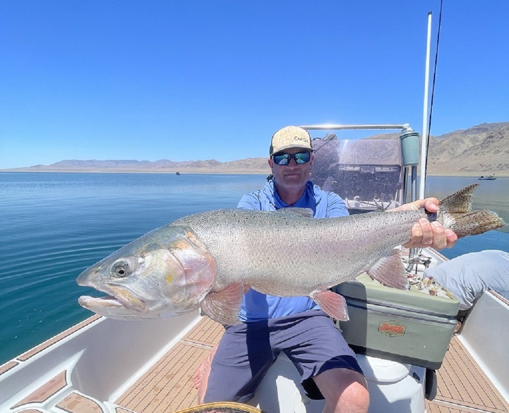 Fly Fishing Pyramid Lake - Lahontan Cutthroat Trout Laceys Guide Service - May 2024