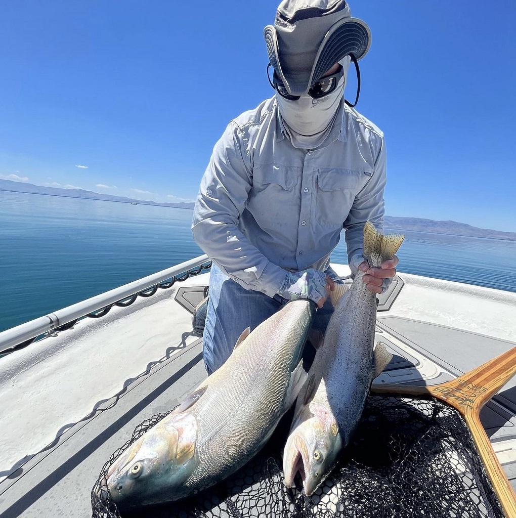 Fly Fishing Pyramid Lake - June 2024 - Double - Lahontan Cutthroat Trout