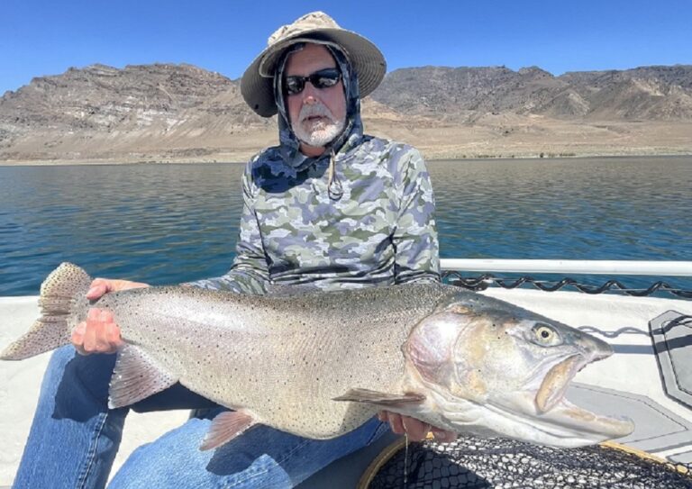 Fly fishing Pyramid Lake - Lahontan Cutthroat Trout 24.2 LBS - Pilot Peak - June 2024