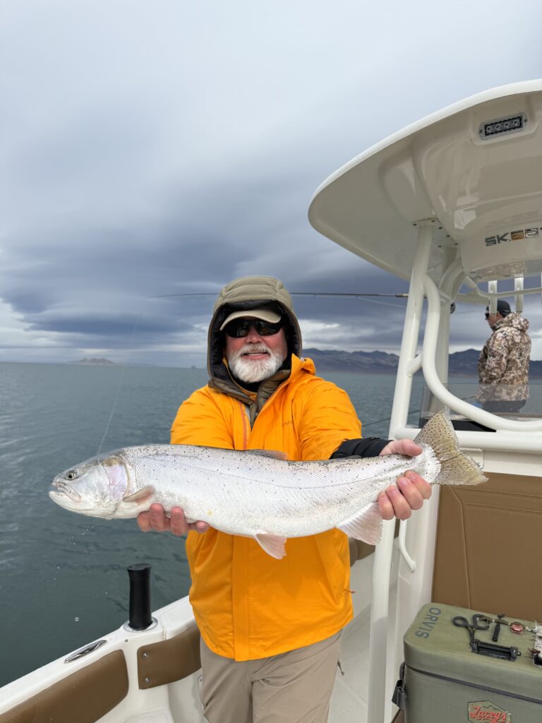 Classic Pyramid Lake Pilot Peak strain Lahontan Cutthroat Trout