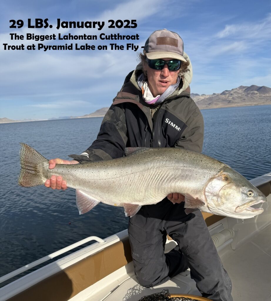 January 2025 Fly Fishing Pyramid Lake 29 lbs Lahontan Cutthroat Trout