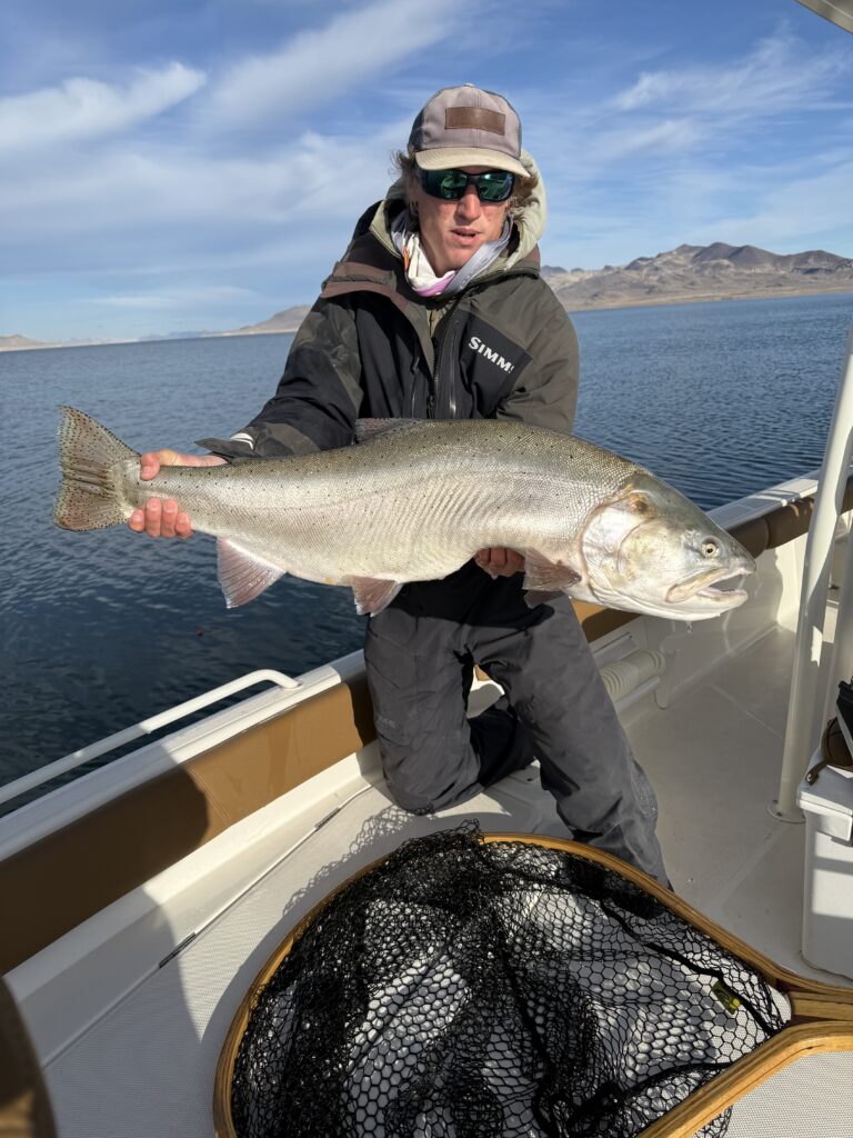 January 2025 Fly Fishing Pyramid Lake 29 LBS Lahontan Cutthroat Trout