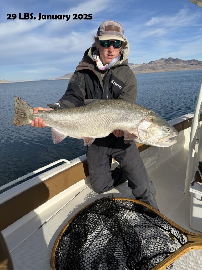 January 2025 Fly Fishing Pyramid Lake 29 lbs Lahontan Cutthroat Trout