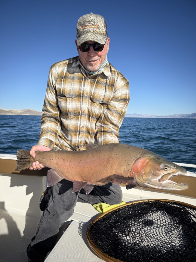 Pyramid Lake Fly Fishing January 2025 Laceys Guide Service