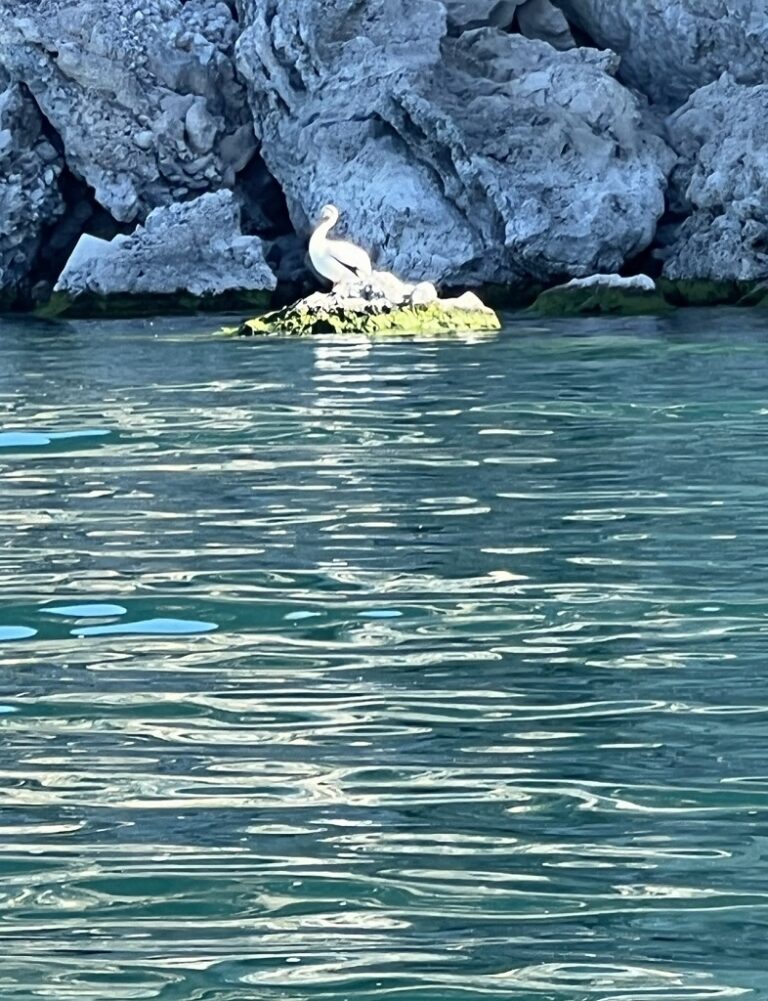 Pelican Pyramid Lake - Hells Kitchen