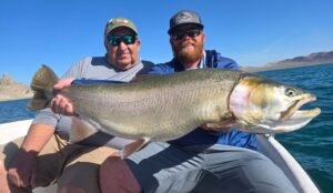 Fly fishing Pyramid Lake June 2025 20 lbs Lahontan Cutthroat Trout