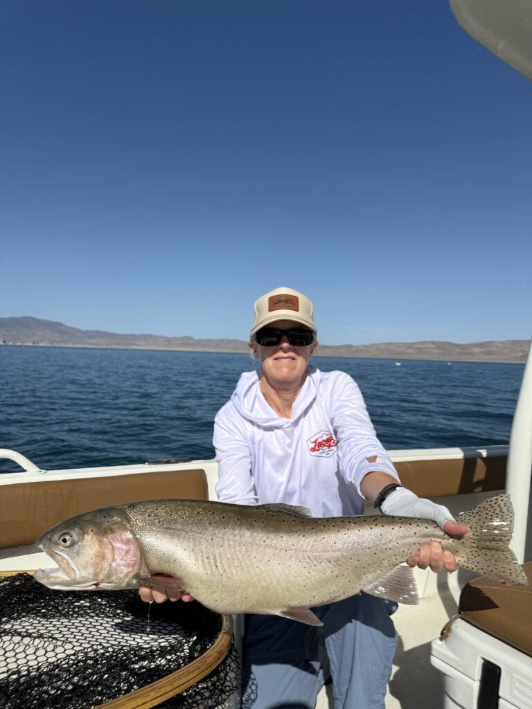 June Lahontan Cutthroat Trout Pyramid Lake Nevada