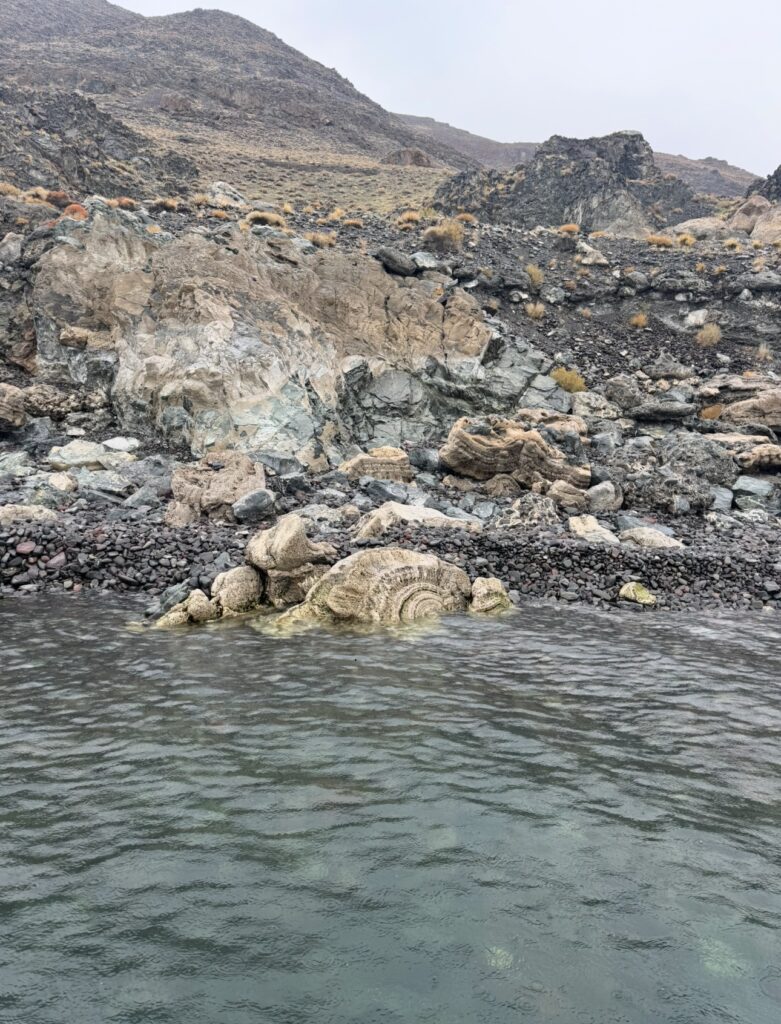 November 2025 Pyramid Lake fishing Report