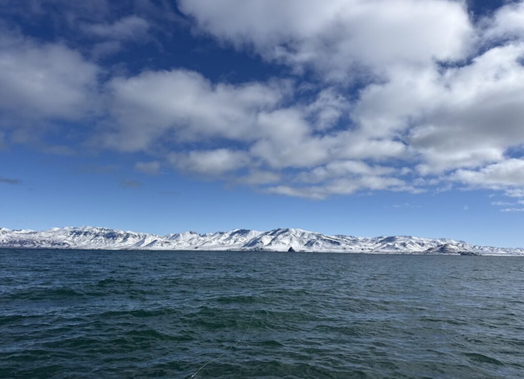 Pyramid Lake February 2026