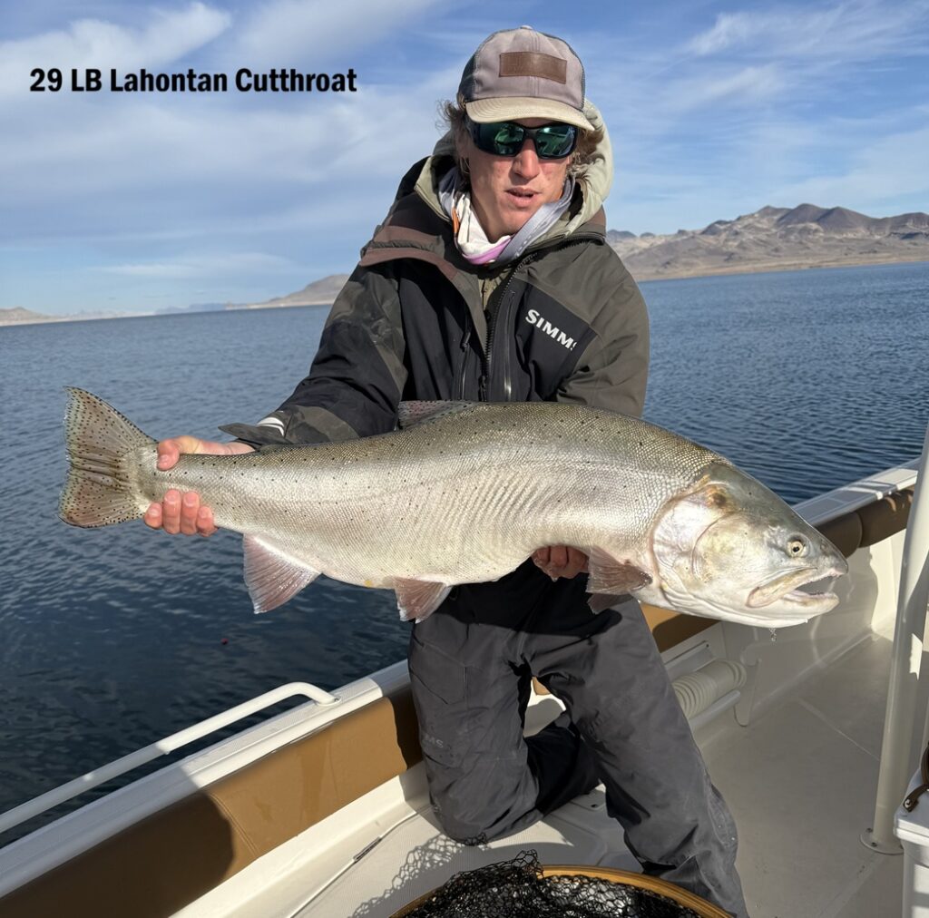 29 lbs Lahontan Cutthroat Trout -Fly Fishing Pyramid Lake