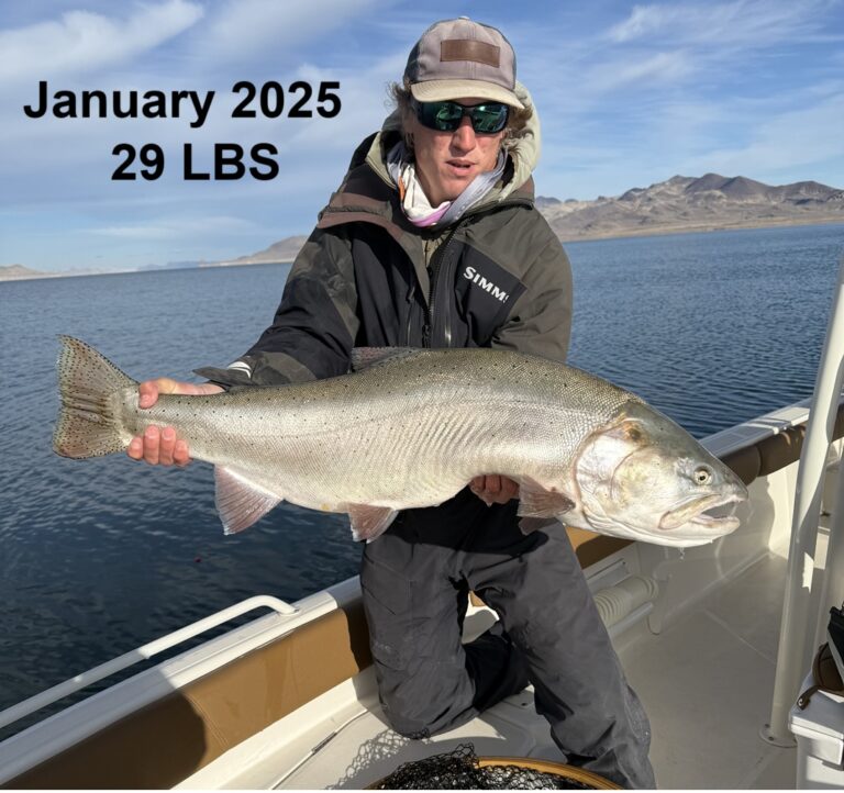 Pyramid Lake Fly Fishing Guides - 29 lbs Lahontan Cutthroat Trout