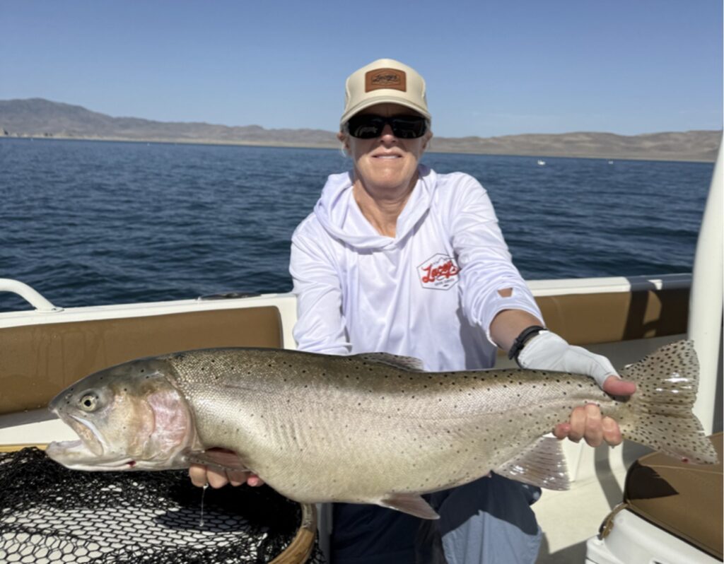 Pyramid Lake Fly Fishing Guides - Lacey's Guide Service -- Lahontan Cutthroat Trout -