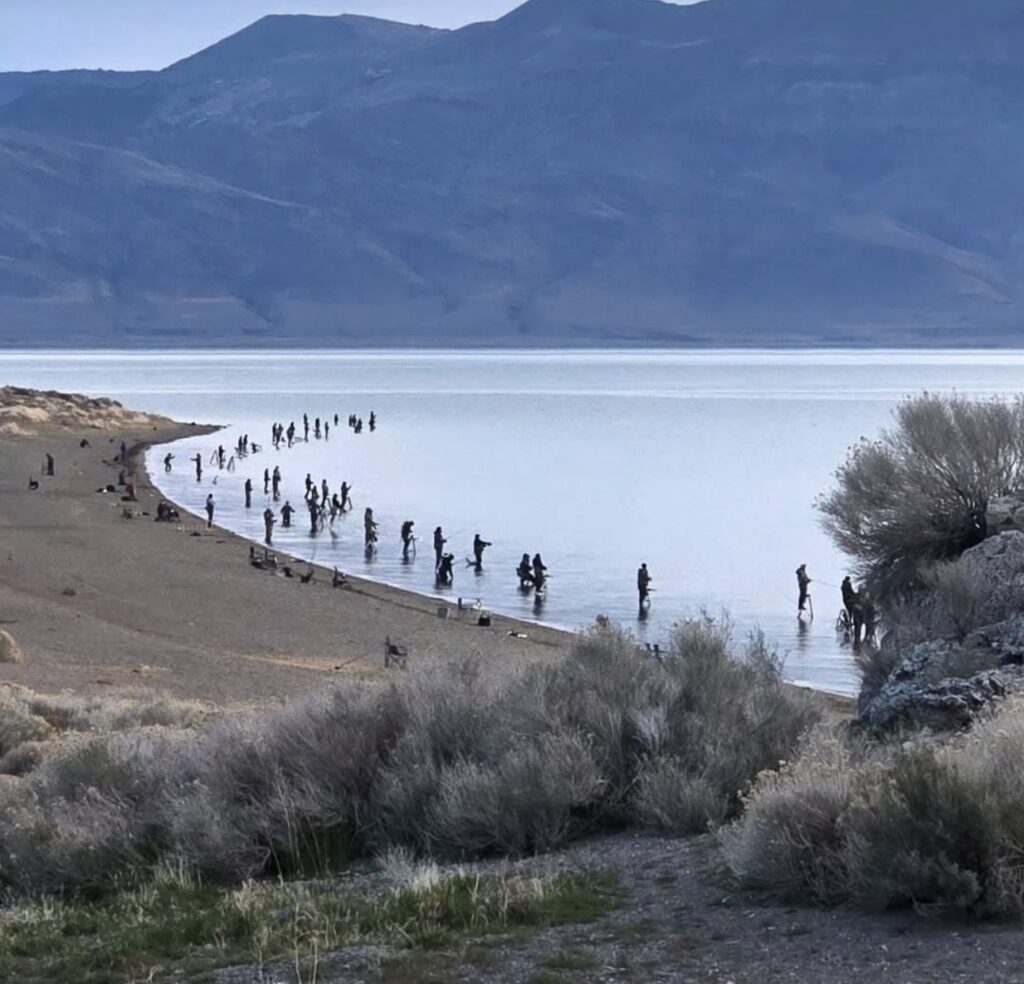 Pyramid-Lake-March-2026-Shore-Fishing-Pressure