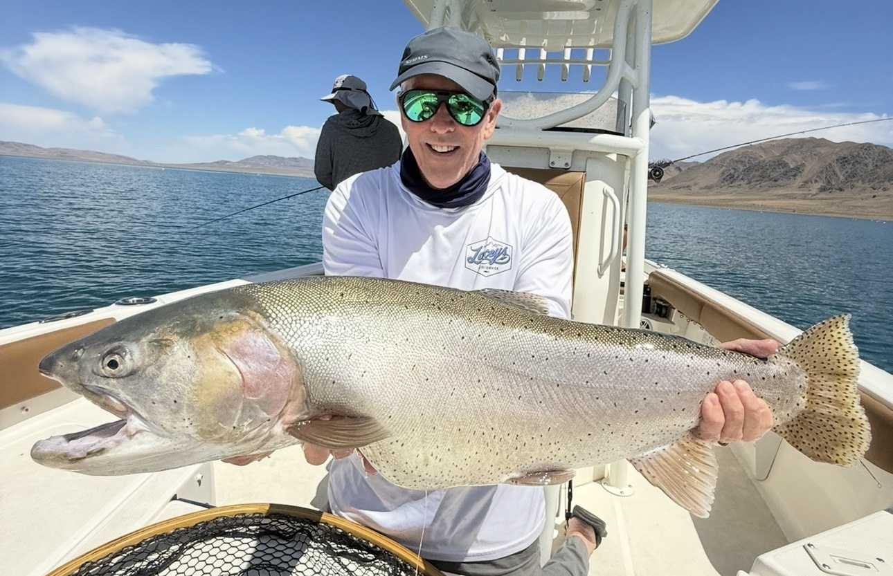 22.5 LBS Lahontan Cutthroat Trout Pyramid Lake NV 6-18-26