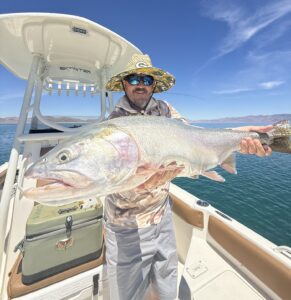Fly Fishing Pyramid Lake - June 2026 Fish Report