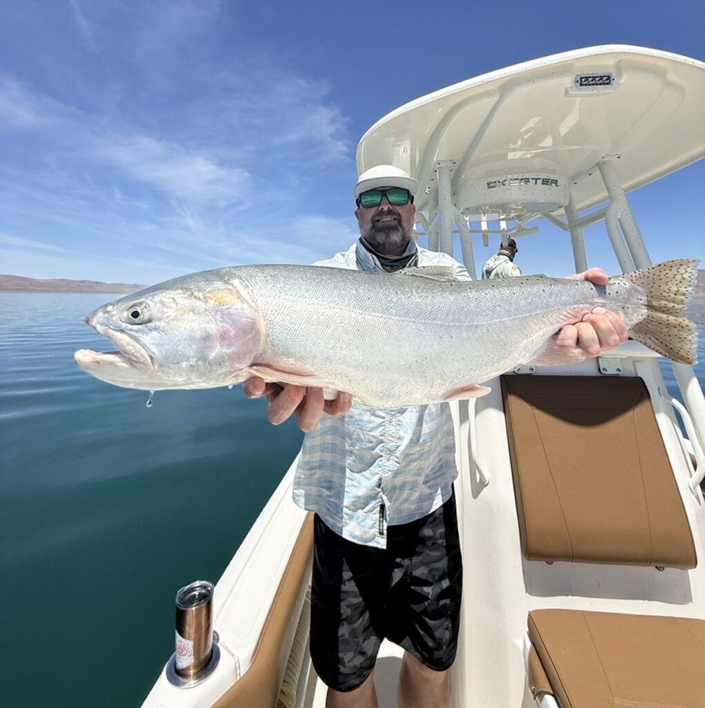 Fly Fishing Pyramid Lake - June 2026 Fly Fishing Report - Lacey's Guide Service